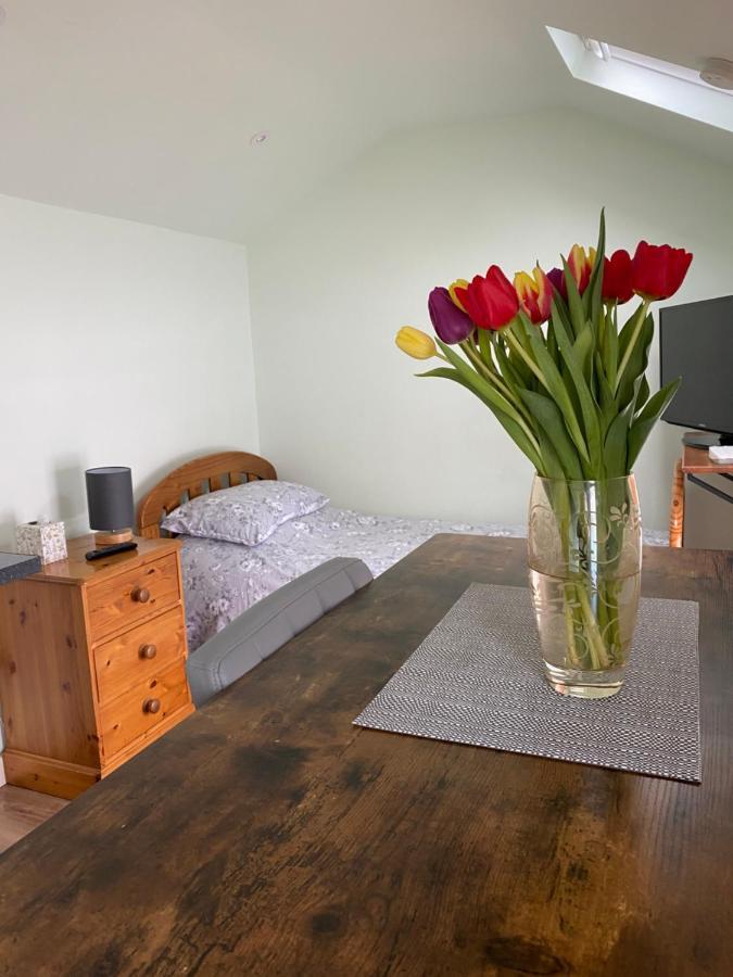 Cosy 1 Bed Garden Annexe Lejlighed Colchester Eksteriør billede